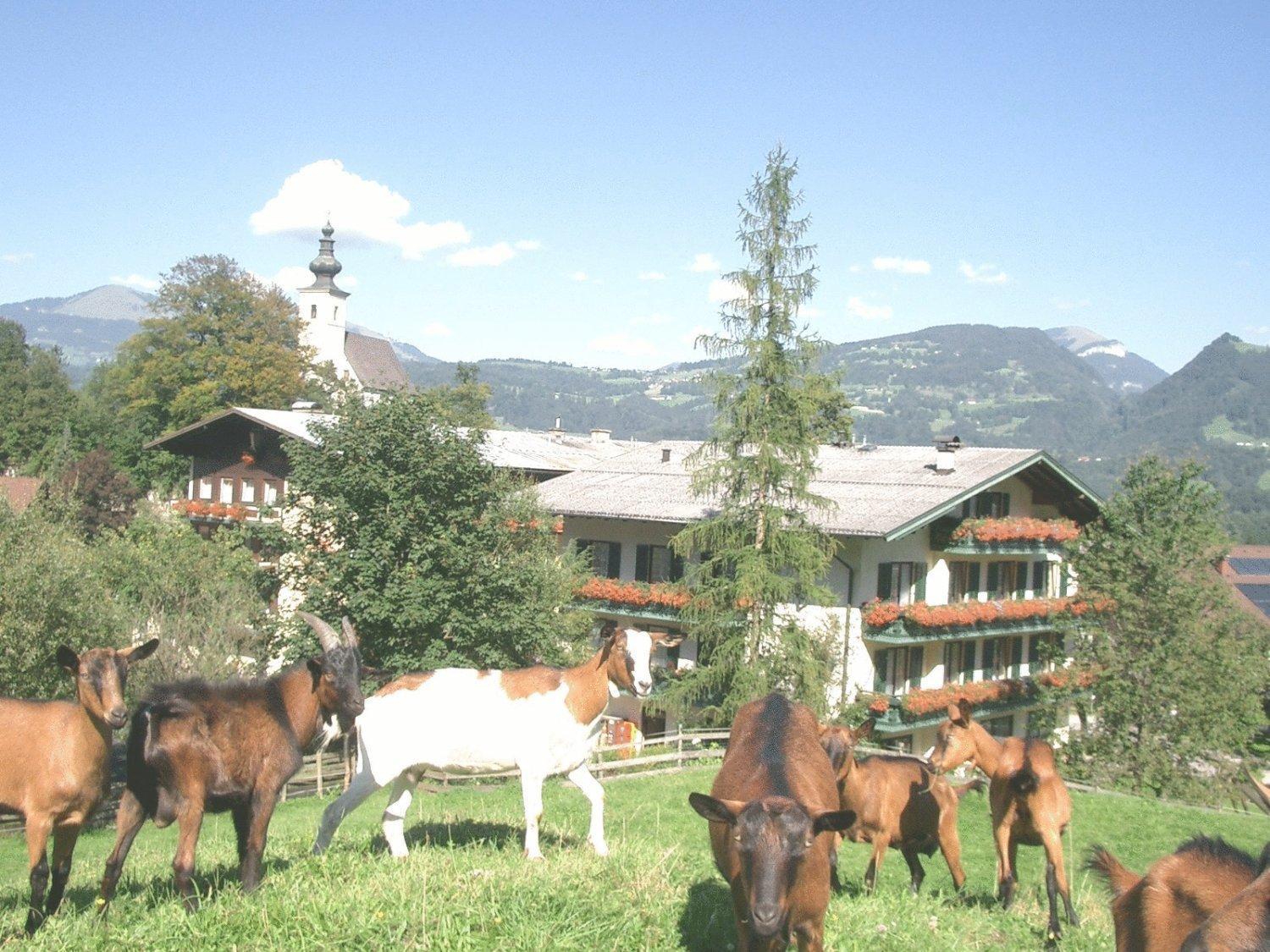 Torrenerhof Hotell Golling an der Salzach Exteriör bild
