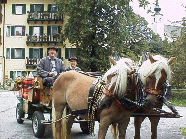 Torrenerhof Hotell Golling an der Salzach Exteriör bild